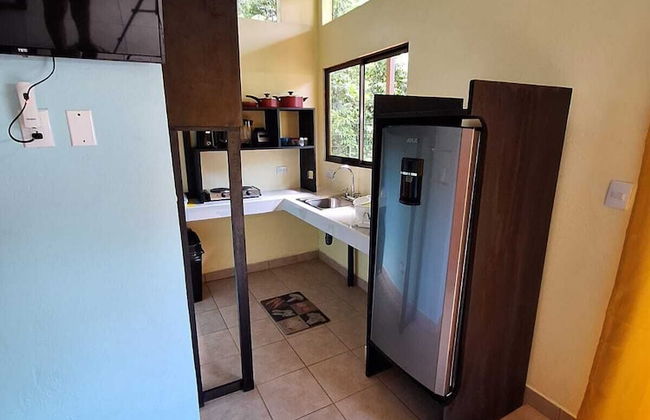 Caribbean Blue Morpho - Foto 9