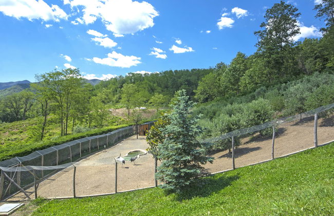 Agr. Castello della Mugazzena - Foto 13