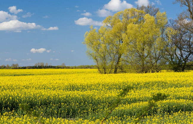 Holiday House Solvej - Photo 11