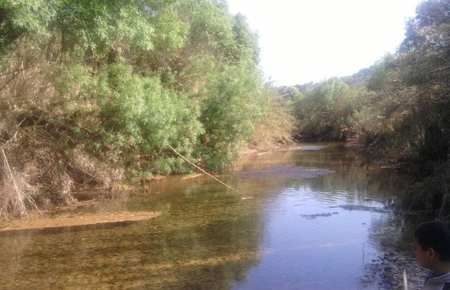 Casa Amoreira - Quinta Amoreira - Foto 49