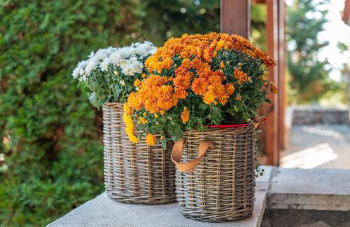 Livadi cozy villa - Foto 37