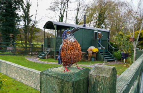 Shepherds hut, Eco, Log burner Hot tub NY moors - Foto 17
