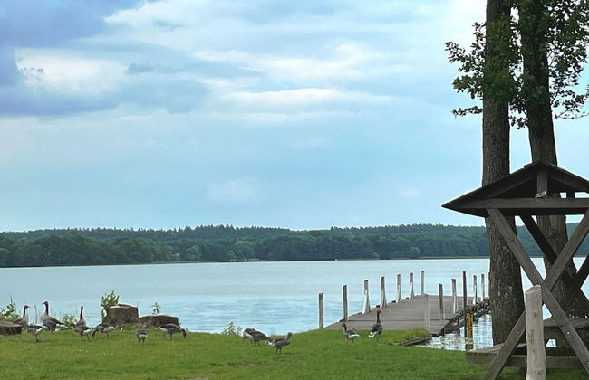 Ferienhaus Seeluft in Klein Labenz - Foto 46