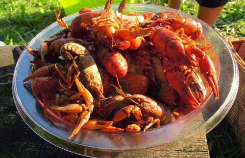 Ferienhaus Haussee - Foto 14