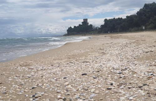 Relax e mare vicino al Cerrano - Photo 14