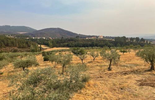 Quinta de Toubres - Foto 43