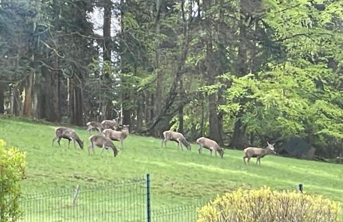 Gîte marguerite - Foto 26