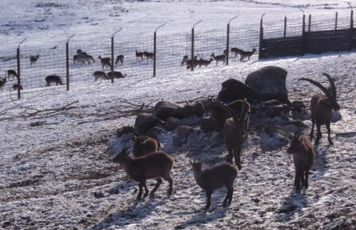 Granerhof Ferien - Foto 14