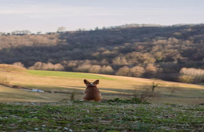 Charming Castle Stay, Robella - Foto 27