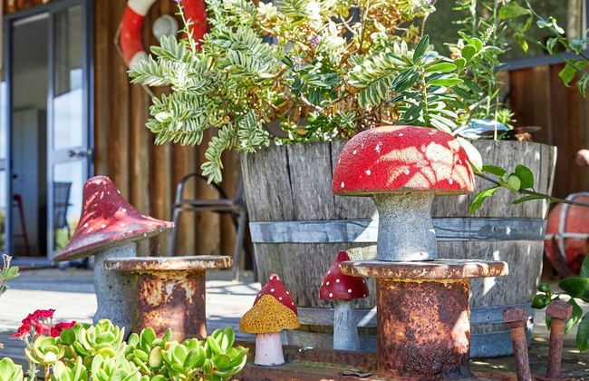 Barnacle Bills - Photo 58