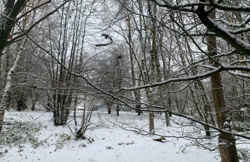 Woodside Studio - Foto 33