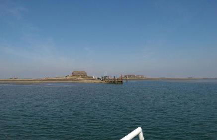 Nordseeferienhaus-Alma - Foto 15