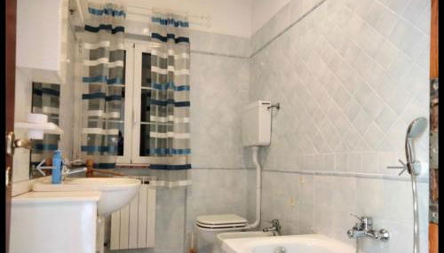 Red Squirrels - Foto 5