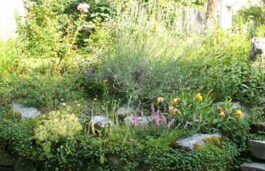 Magnifique maison de maître du 18e avec jardin - Foto 40