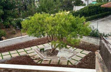 Via dei mirtilli - Foto 11