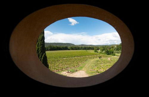 Gîte Mimosa au milieu des vignes - Château les Apiès - Foto 14