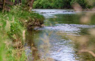 MY STAY- Erholung zwischen See und Bergen, neu erbaute Apartments im modernen Landhausstil mit Bergblick, familienfreundlich - Foto 39