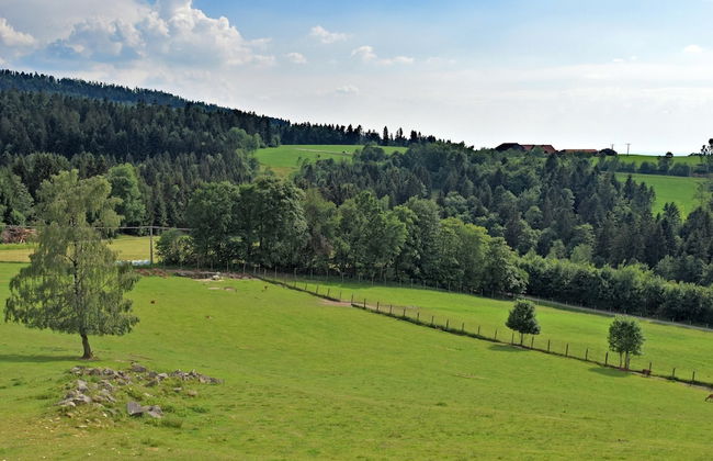 Alpine View Wellness Escape - Photo 37