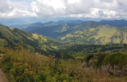 FeWo Allgäuliebe mit WLAN Oberstaufen Steibis - Foto 21