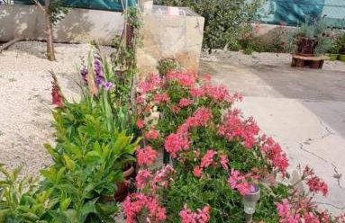 Apartments Jeličić - Foto 75