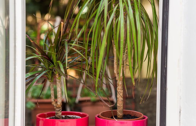 Apartment Caceris - Foto 18