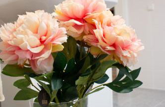 Gästewohnung Mönchengladbach Rheindahlen - Photo 60