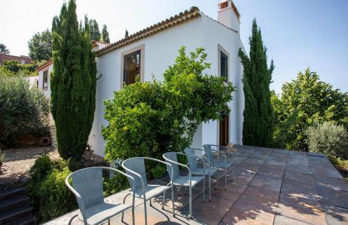 Local 9 - Casa do chapim azul - Foto 146