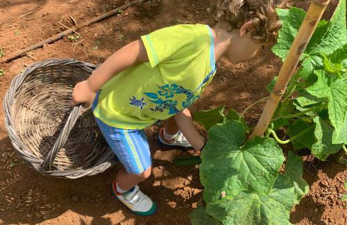 Agrikies Country Retreat - Foto 45