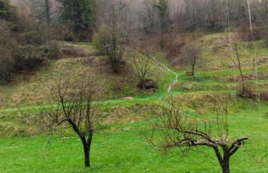 Casa Liseth - Photo 9