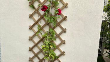 Détours en Provence - Lavande 3* - Foto 4