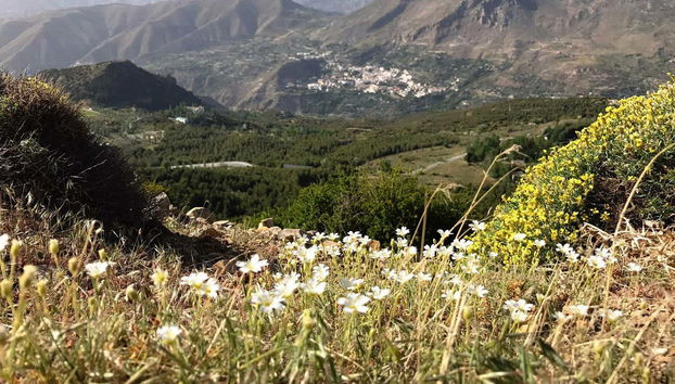 Sierra Nevada Offroading Day Trip - Foto 3