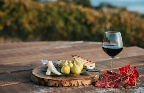 Di Colle in Colle - Agriturismo - Foto 31