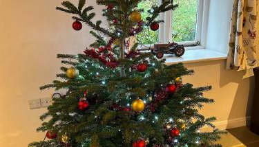 Luxury Farmhouse Retreat with Private Hot Tub & EV - Foto 5