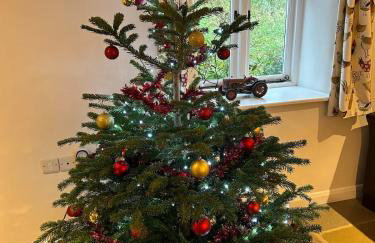 Luxury Farmhouse Retreat with Private Hot Tub & EV - Foto 5