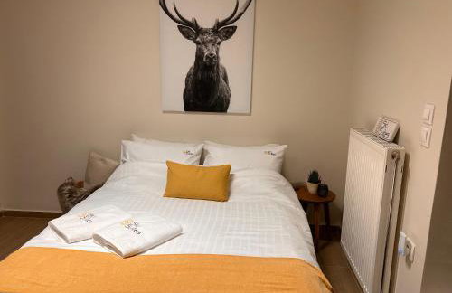 Ski Suites - Family Maisonette Kalavryta - Photo 24