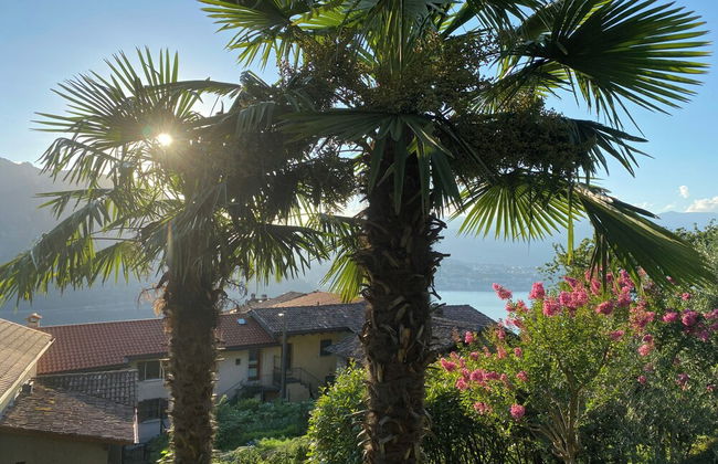 Romantic Pergola - Foto 20