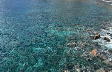 Home Away From Home - Foto 27