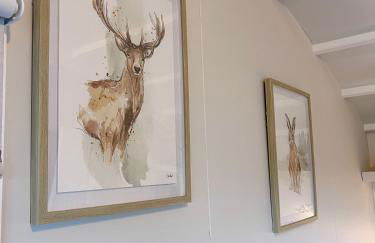 Capledrae Farmstay Shepherds Huts - Foto 27