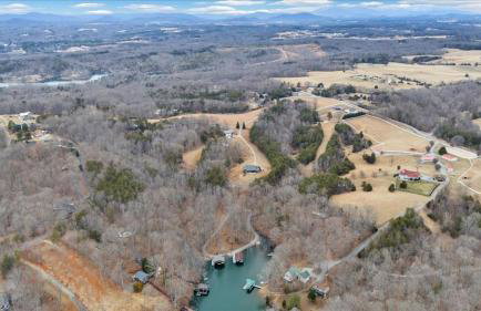 Liberty Pines - Lakefront Log Home, Swim Spa & Game Room - Photo 55