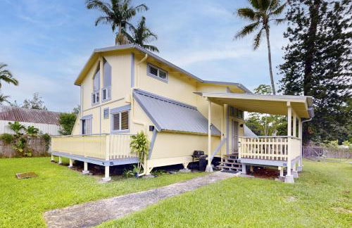 Sea Turtle Life - Photo 35