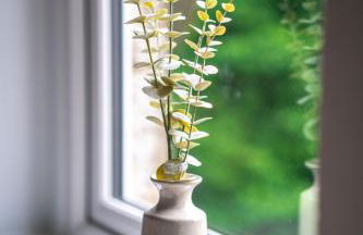 Caledonia Apartment - Photo 10