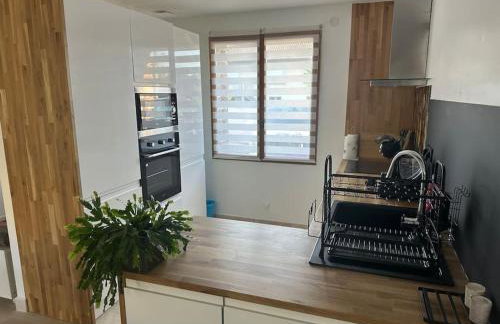 Jolie maison style champenois Classement 3 étoiles Gîtes de France - Foto 47