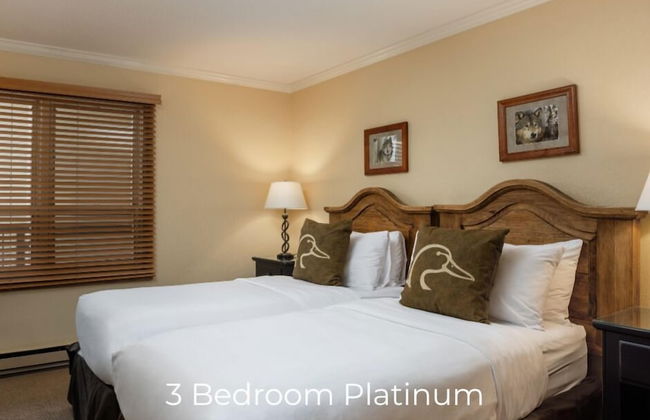 Montaneros in Vail - Foto 45