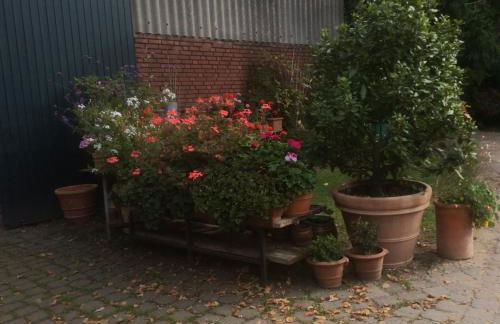 Ferienwohnung Haumannshof - Foto 16