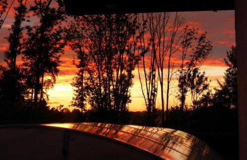 Ferienwohnung Kollmann - Foto 66