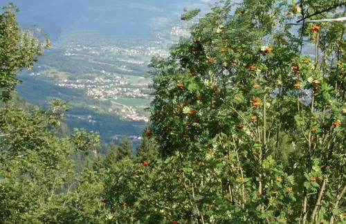 La Casa di Anna nel Parco delle Dolomiti Croce d' Aune 1000 ml slm - Foto 59