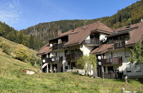 Apartment Sonnenblick III by Interhome - Foto 28