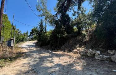 Paralia Homes cheerful 2 bedroom with pool, unit #1 - Foto 67