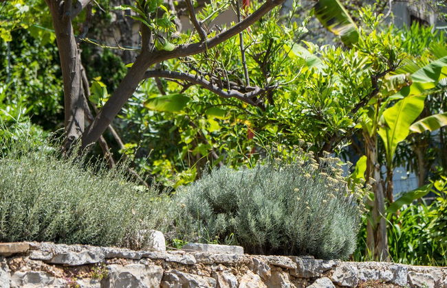 An Apartment Lavanda - Photo 17