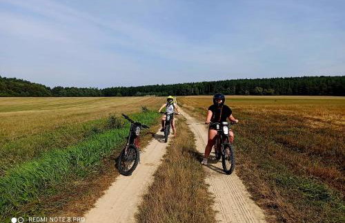 Agroturystyka Stara Huta - Foto 28